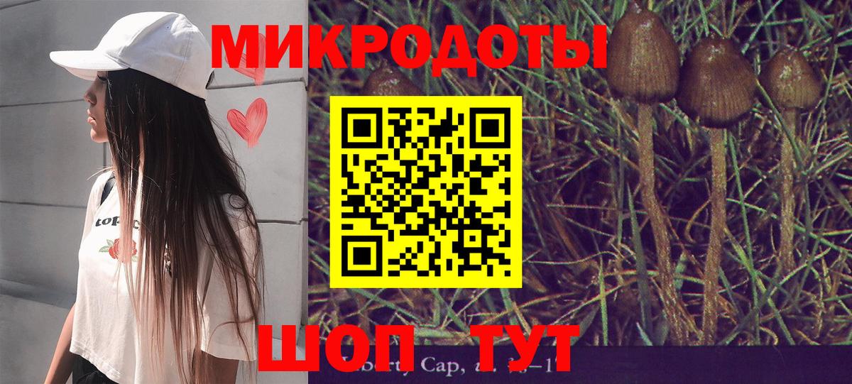 Галлюциногенные грибы GOLDEN TEACHER  Вход с VPN  Новодвинск 